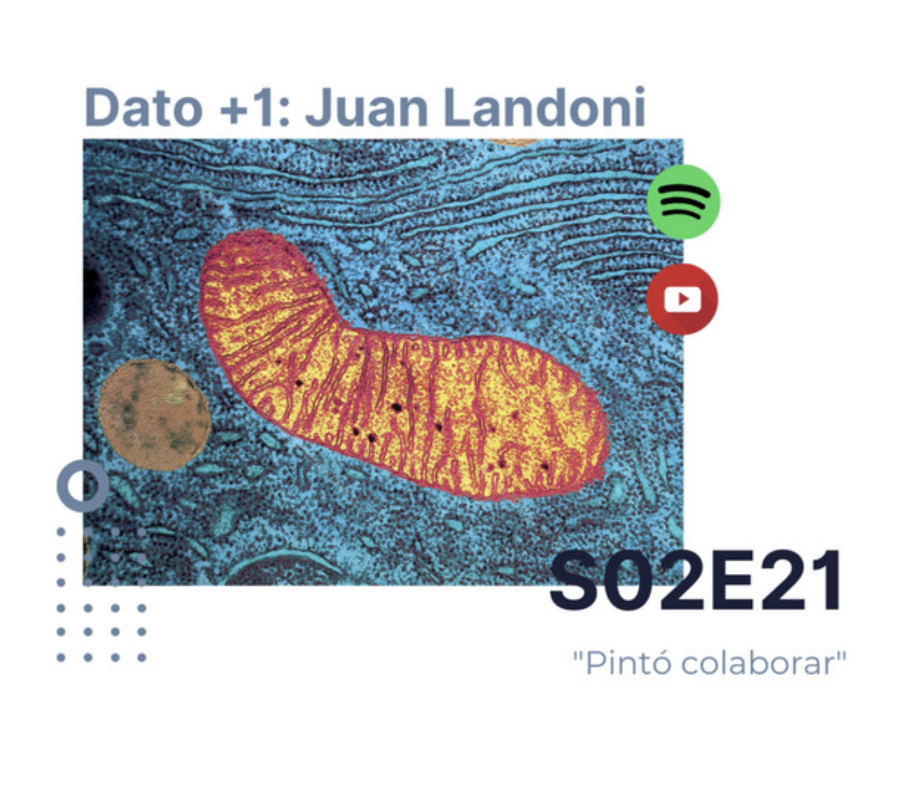 World Mitochondrial Disease Week