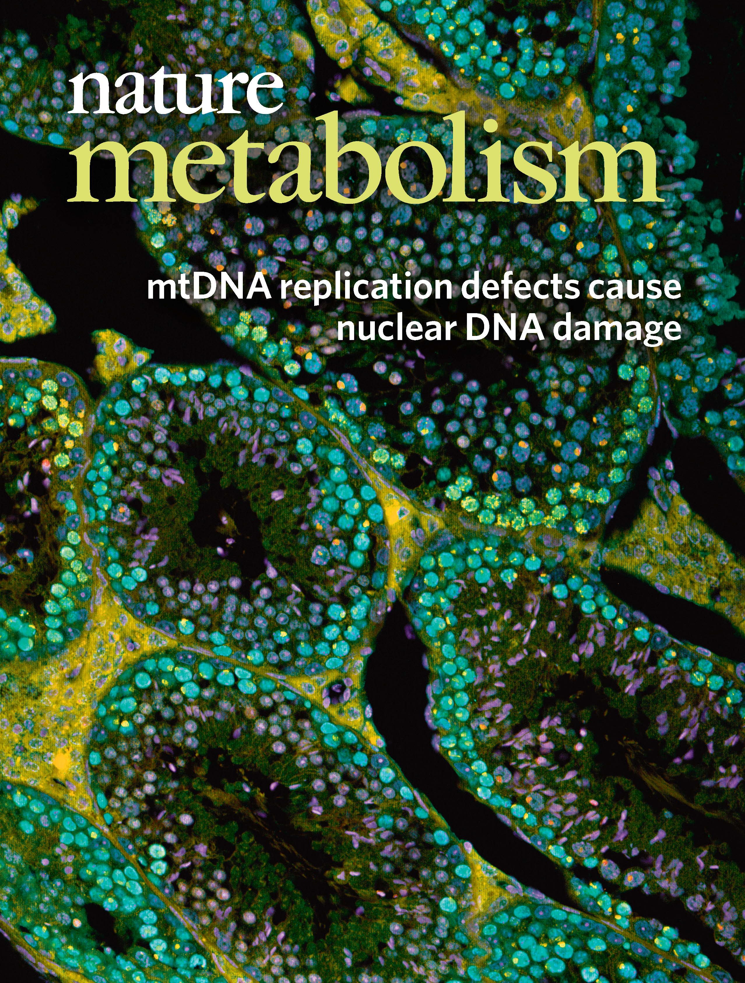 Cover of Nature Metabolism displaying data from the paper